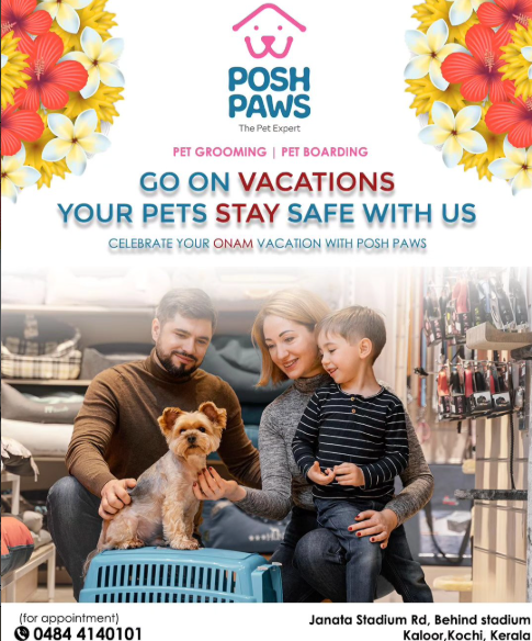 Posh paw pets Gallery Image
